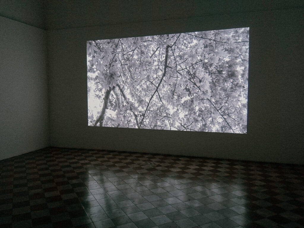 A video projection of the piece "aqui siempre es otro lugar"